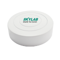 SKYLAB wholesale  smart home  indoor positioning asset tracking nrf52832 Smallest bluetooth BLE beacon